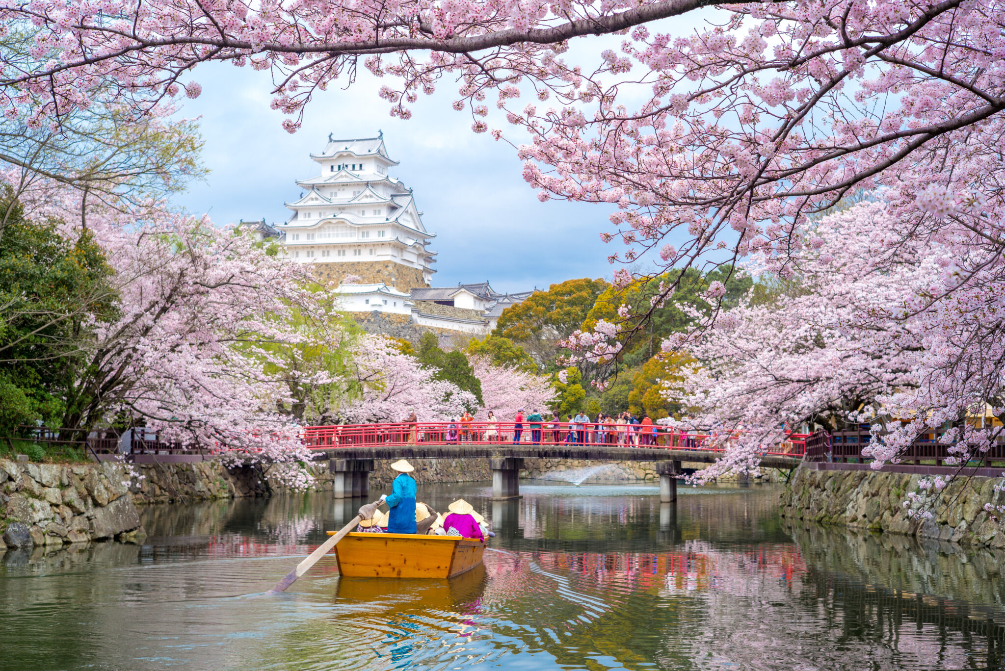 Japan Cherry Blossom Cruise Tour 2025 Sage Travel